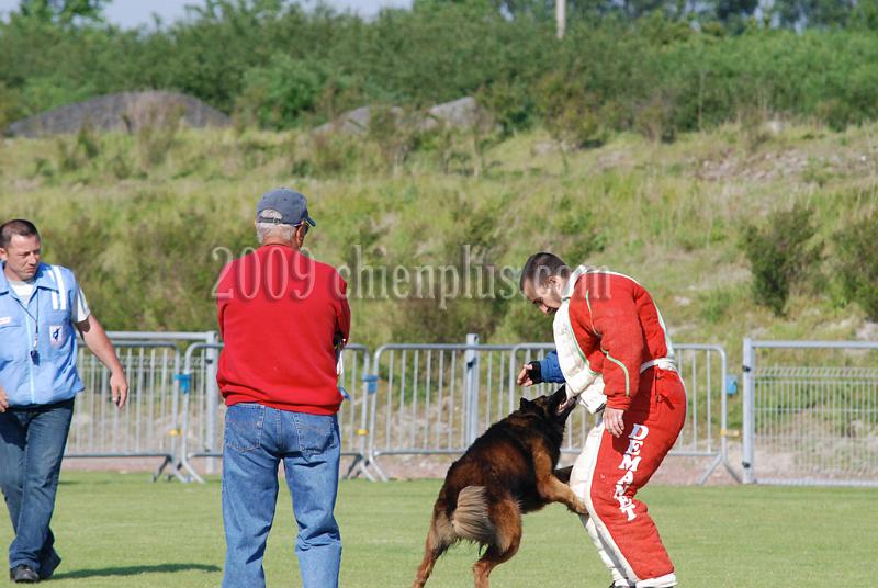 3 EME SELECTIF 2009 GRANDE SYNTHE 292.jpg
